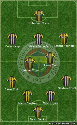 Fenerbahçe SK Formation 2016