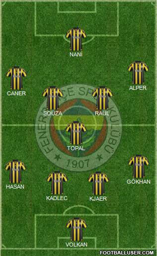 Fenerbahçe SK Formation 2016