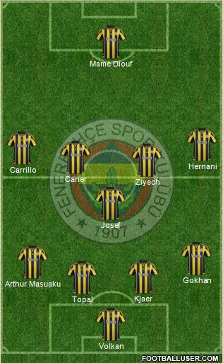 Fenerbahçe SK Formation 2016