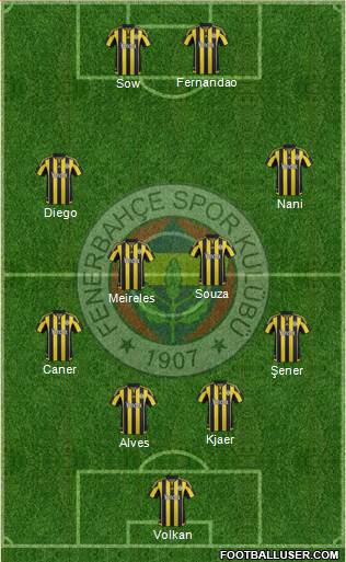 Fenerbahçe SK Formation 2016