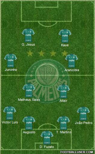 SE Palmeiras Formation 2016
