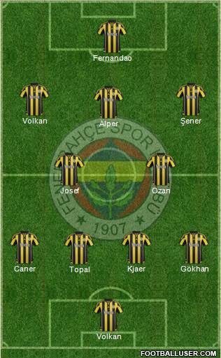 Fenerbahçe SK Formation 2016