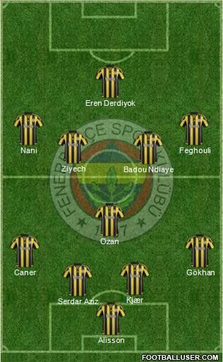Fenerbahçe SK Formation 2016