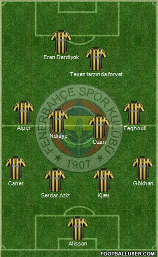 Fenerbahçe SK Formation 2016