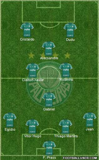 SE Palmeiras Formation 2016