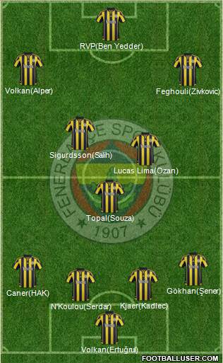 Fenerbahçe SK Formation 2016