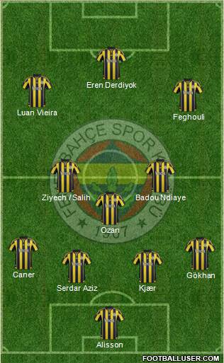 Fenerbahçe SK Formation 2016