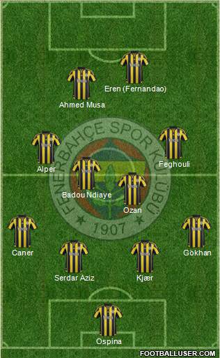 Fenerbahçe SK Formation 2016
