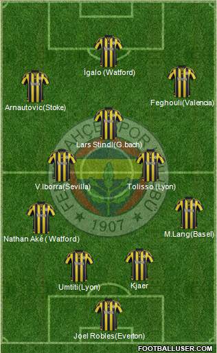 Fenerbahçe SK Formation 2016