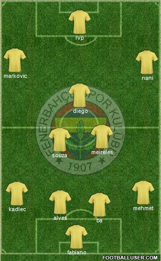 Fenerbahçe SK Formation 2016