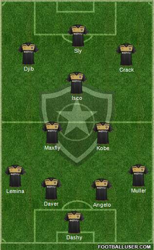 Botafogo FR Formation 2016