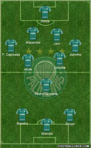 SE Palmeiras Formation 2016