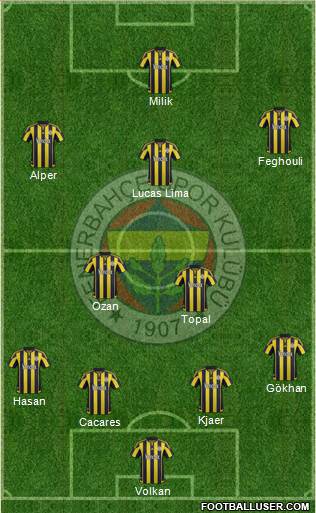 Fenerbahçe SK Formation 2016