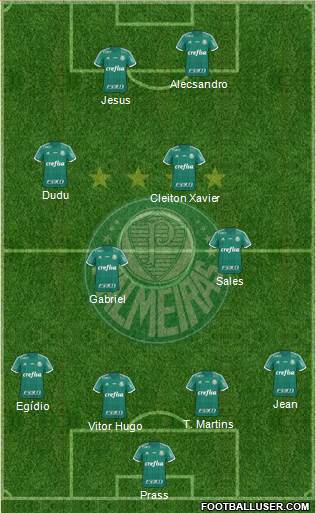 SE Palmeiras Formation 2016