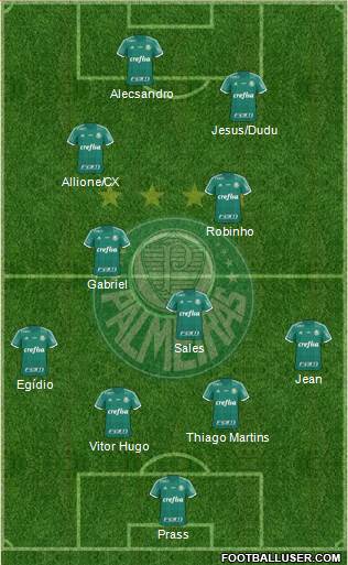 SE Palmeiras Formation 2016