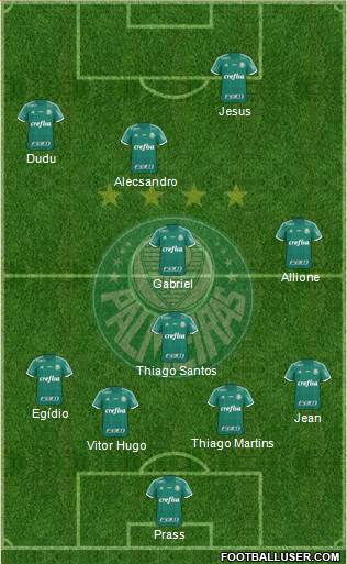 SE Palmeiras Formation 2016