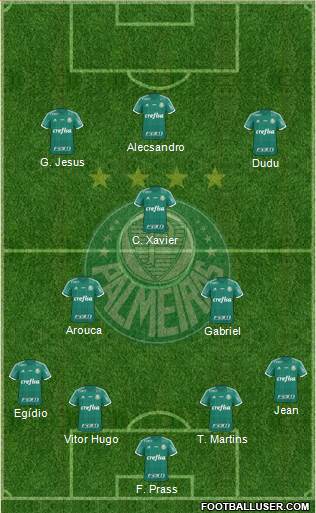 SE Palmeiras Formation 2016