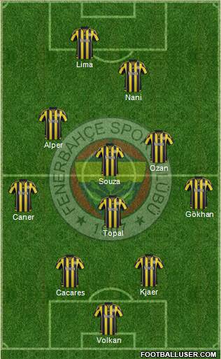 Fenerbahçe SK Formation 2016