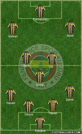 Fenerbahçe SK Formation 2016