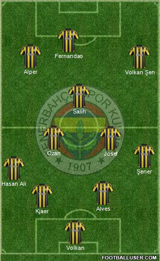 Fenerbahçe SK Formation 2016