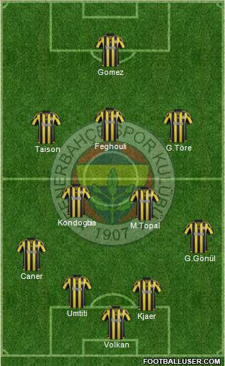 Fenerbahçe SK Formation 2016