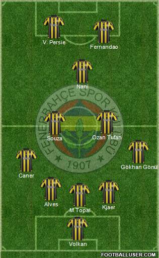 Fenerbahçe SK Formation 2016