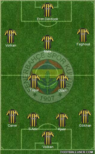 Fenerbahçe SK Formation 2016