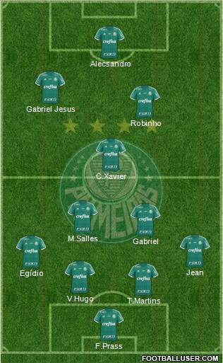 SE Palmeiras Formation 2016