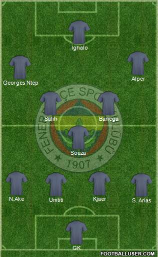 Fenerbahçe SK Formation 2016