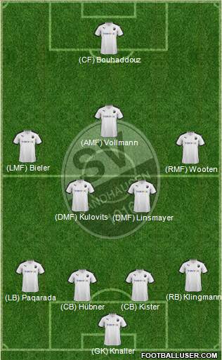 SV Sandhausen Formation 2016