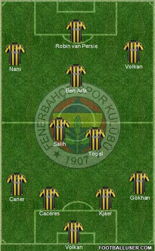 Fenerbahçe SK Formation 2016