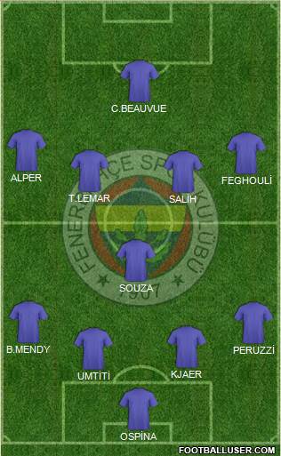 Fenerbahçe SK Formation 2016