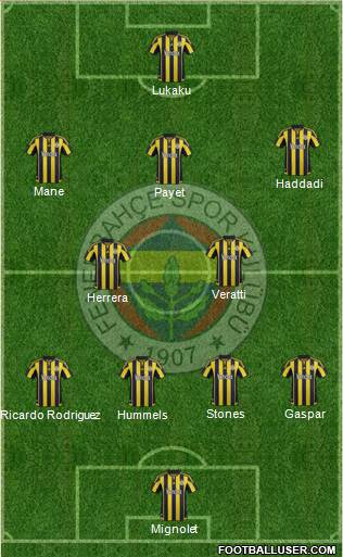 Fenerbahçe SK Formation 2016