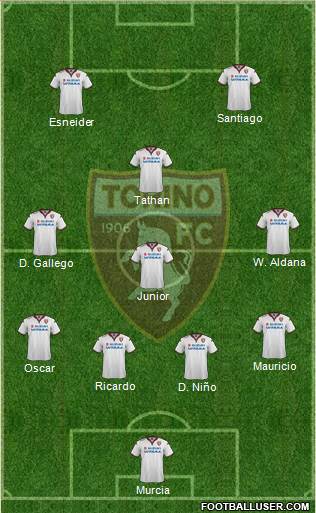 Torino Formation 2016
