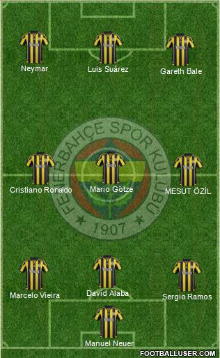 Fenerbahçe SK Formation 2016