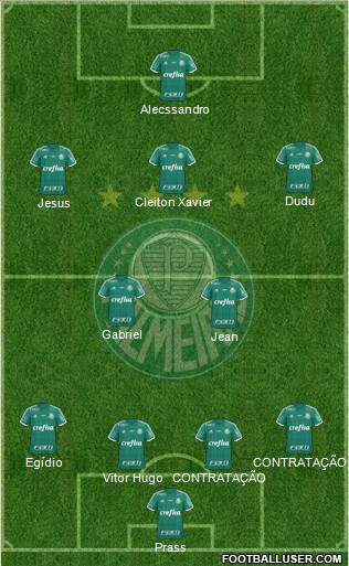 SE Palmeiras Formation 2016