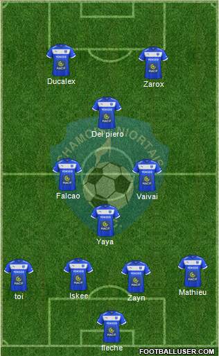 Chamois Niortais Football Club Formation 2016