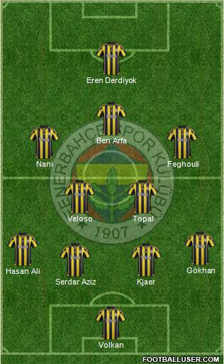 Fenerbahçe SK Formation 2016