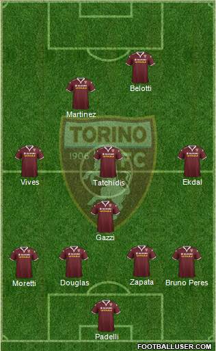 Torino Formation 2016