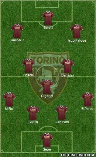 Torino Formation 2016