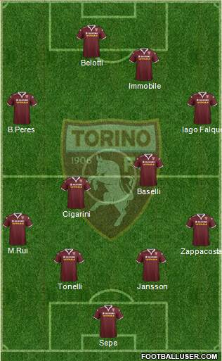 Torino Formation 2016