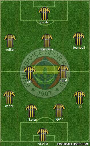 Fenerbahçe SK Formation 2016