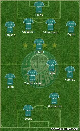 SE Palmeiras Formation 2016