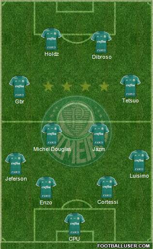 SE Palmeiras Formation 2016