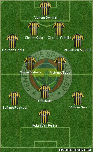 Fenerbahçe SK Formation 2016