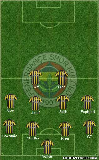 Fenerbahçe SK Formation 2016