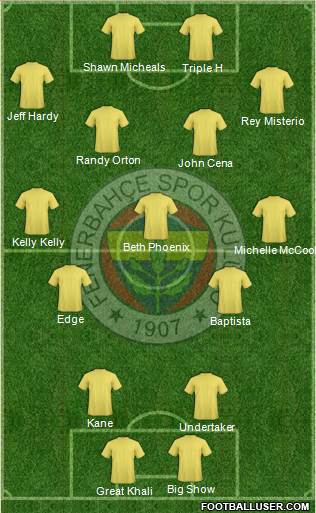 Fenerbahçe SK Formation 2016