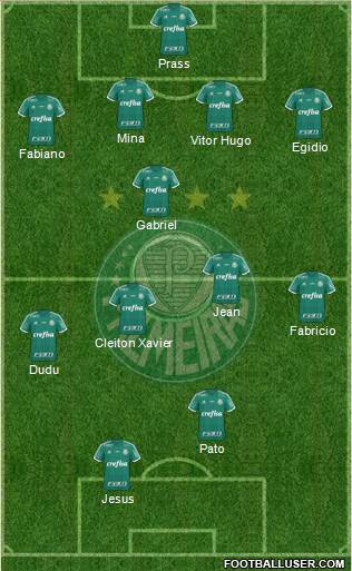 SE Palmeiras Formation 2016