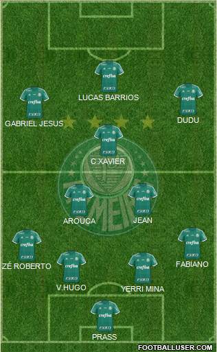 SE Palmeiras Formation 2016