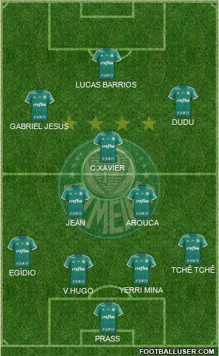 SE Palmeiras Formation 2016